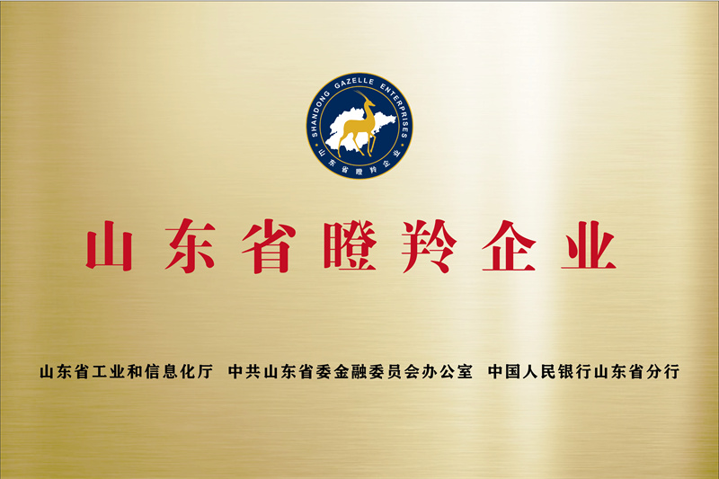 濟寧先進院榮譽牌-06
